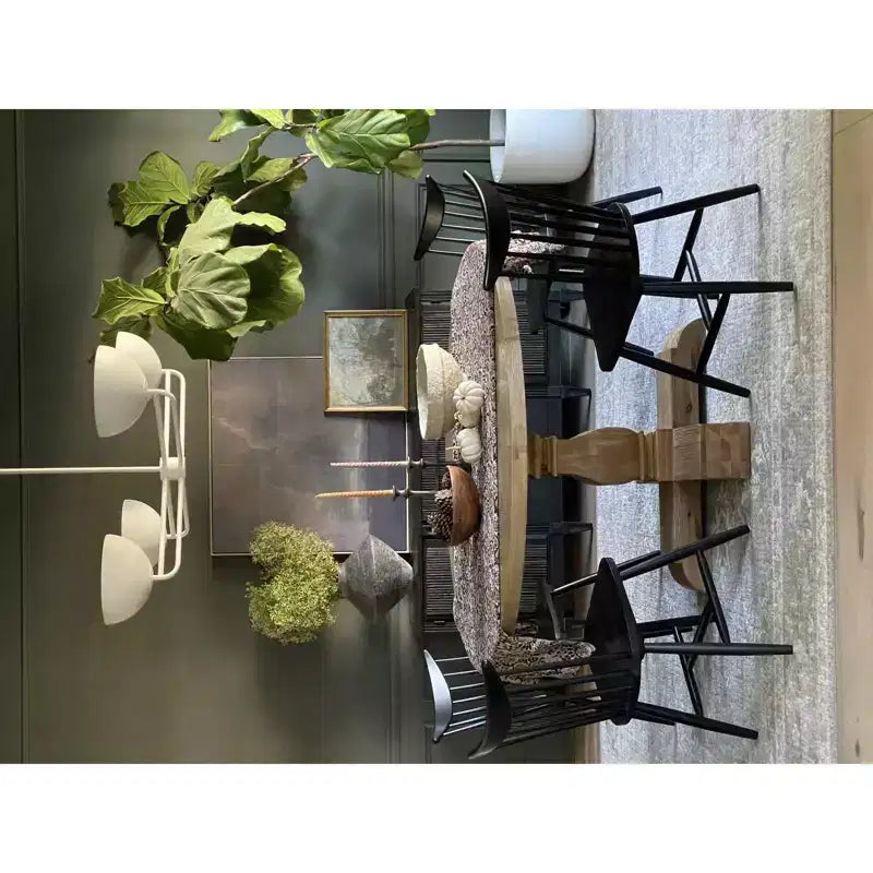 Chaise de salle à manger (lot de 2)