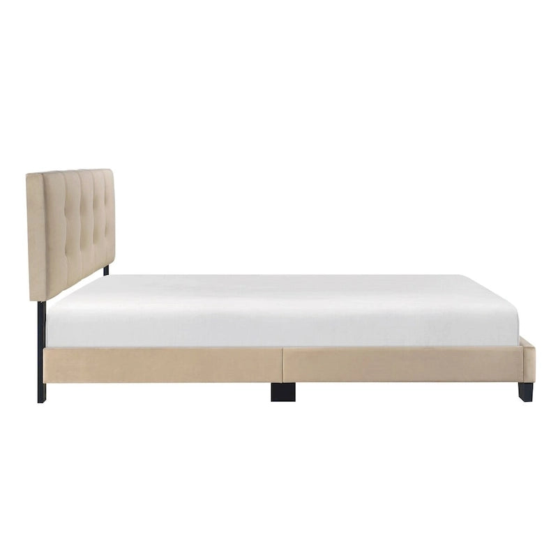 Velvet Queen Platform Bed with Adjustable Tufted Headboard